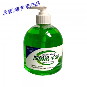 宝中宝抑菌洗手液（芦荟）500ml—三个一组